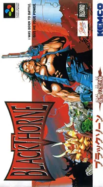 Blackthorne - Fukushuu no Kuroki Toge (Japan) box cover front